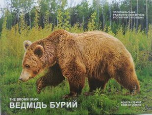 Монета "Чорнобиль. Відродження. Ведмідь бурий" у сувенірній упаковці. 2022 1769839474 фото
