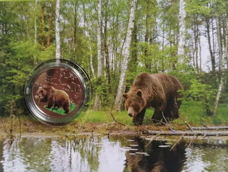Монета "Чорнобиль. Відродження. Ведмідь бурий" у сувенірній упаковці. 2022 1769839474 фото