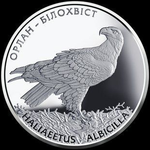 Монета "Орлан-білохвіст" 10 грн., 2019 2349011770 фото