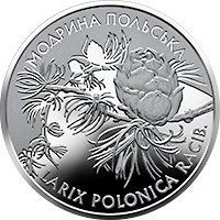 Монета "Модрина польська" 10 грн., 2001 065 фото
