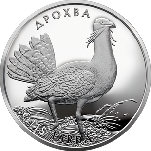 Монета "Дрохва" 10 грн., 2013 068 фото