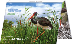 Монета Чорнобиль. Відродження. Лелека чорний 5 грн. у сувенірному пакуванні copy_copy_2049758928 фото